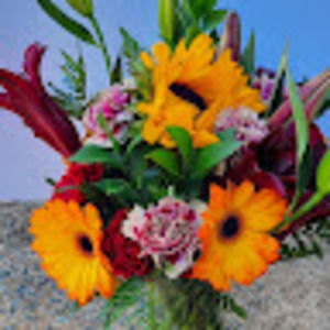 Meet your Posher, Lisa